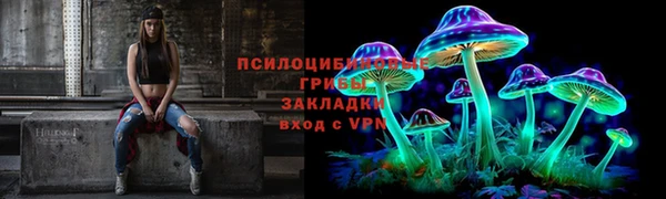 амф Богородск