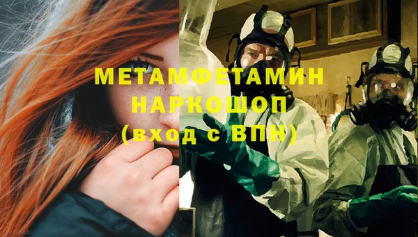 прущие грибы Богородицк