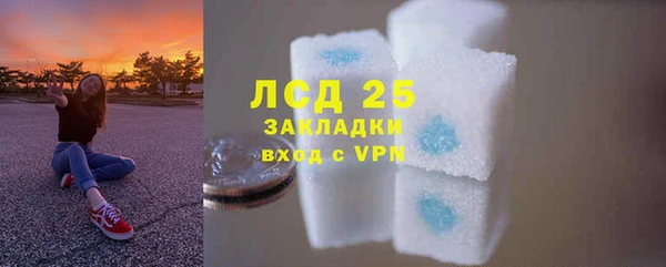 прущие грибы Богородицк