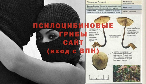 прущие грибы Богородицк
