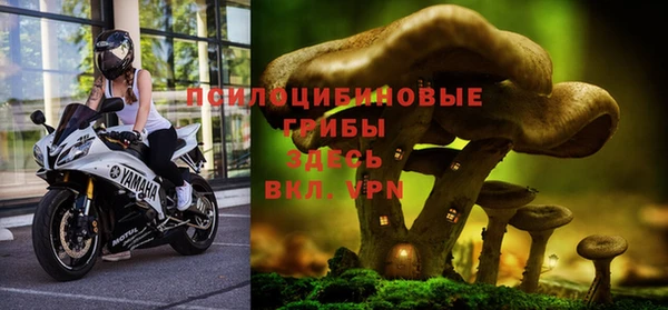 таблы Богданович