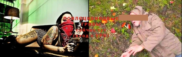 прущие грибы Богородицк