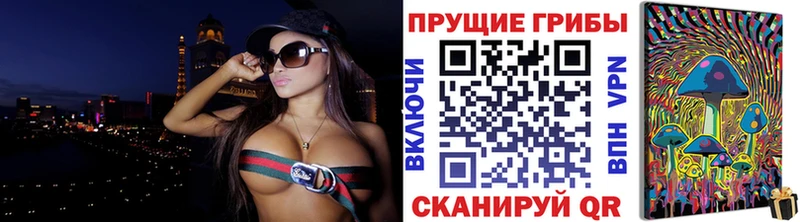 Псилоцибиновые грибы Cubensis Гатчина