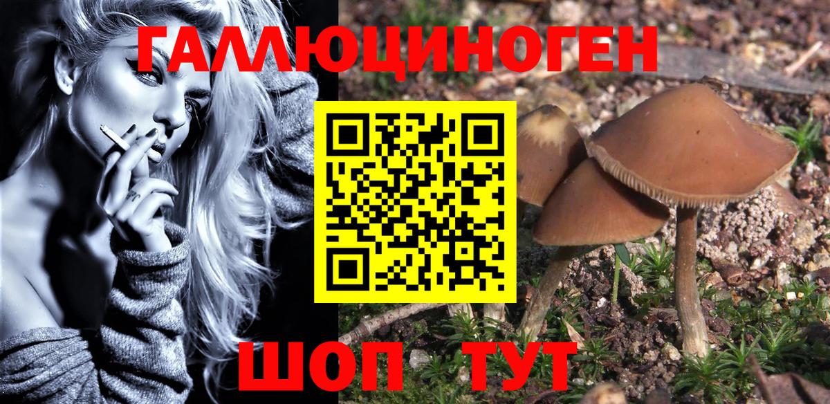 Псилоцибиновые грибы Cubensis  Гатчина  Псилоцибиновые грибы Magic Shrooms 