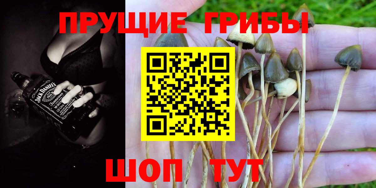 Галлюциногенные грибы MAGIC MUSHROOMS Гатчина
