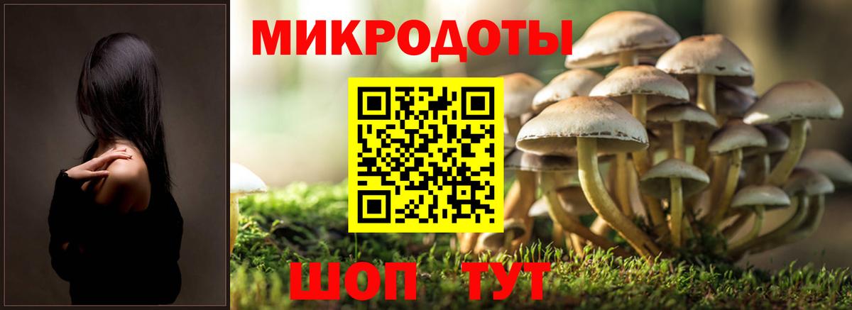 Галлюциногенные грибы мицелий Гатчина
